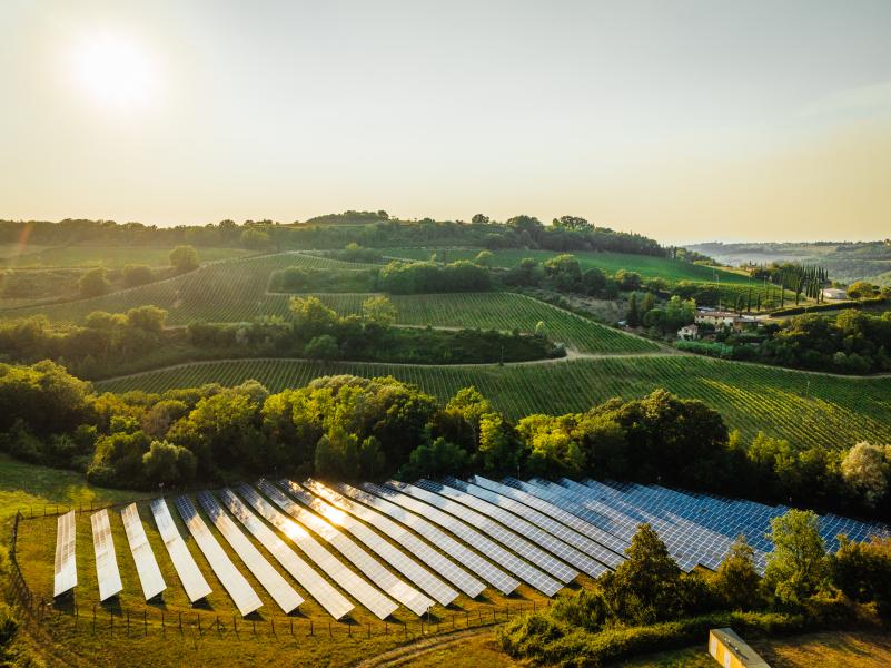 EU solar farm